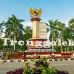 Portal Lokal yang Menyajikan Berita Trenggalek